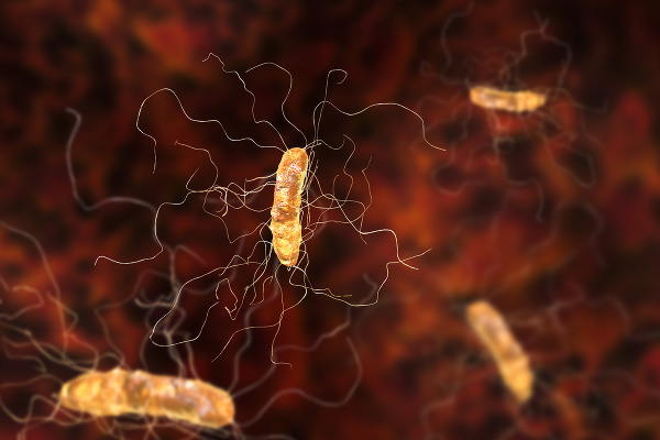 Baktéria Clostridium difficile. (Foto: Gettyimages.com)