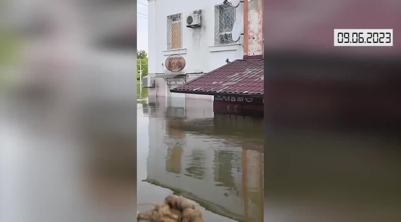 obrazok k videu 62009: