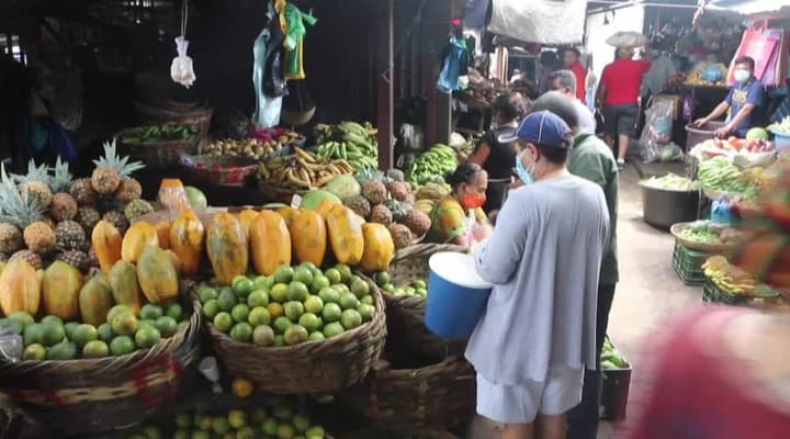 obrazok k videu 43479: