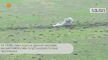 obrazok k videu 62219: