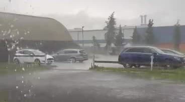 obrazok k videu 62631: