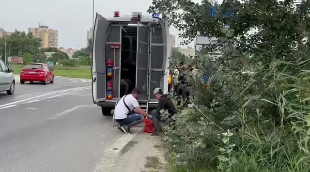 obrazok k videu 64555: