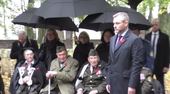 obrazok k videu 67085: