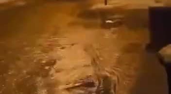 obrazok k videu 67799: