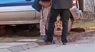 obrazok k videu 84733: