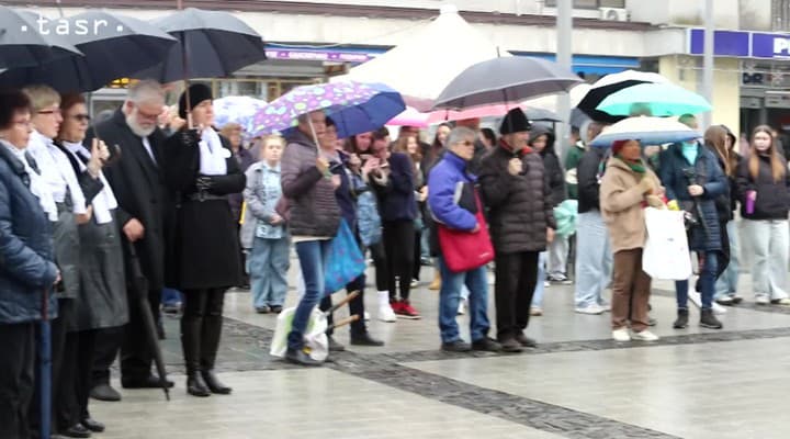 obrazok k videu 85087: