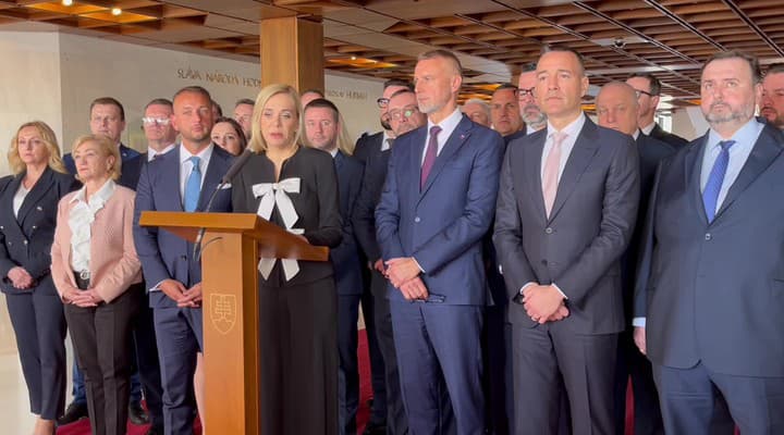 obrazok k videu 85693: