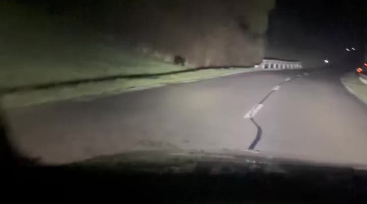 obrazok k videu 86649: