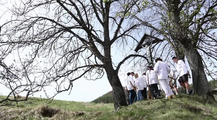 obrazok k videu 86739: