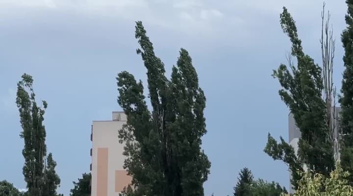 obrazok k videu 89049: